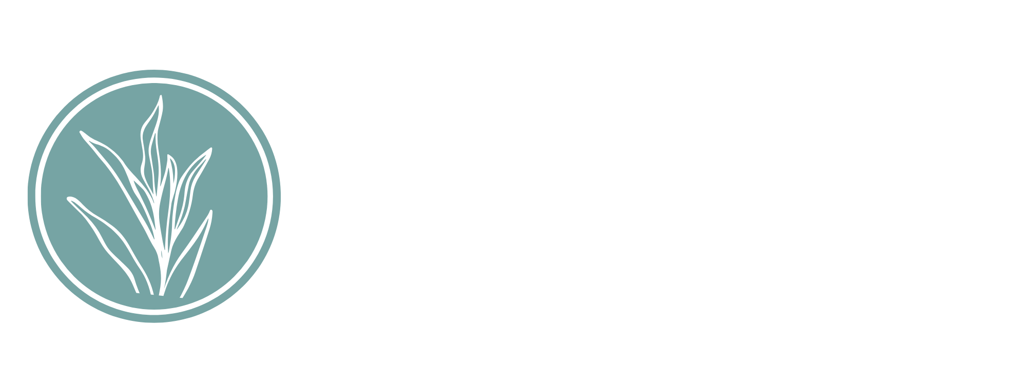 Marshview Realty
